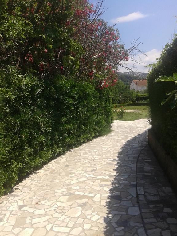 Guest house Venera